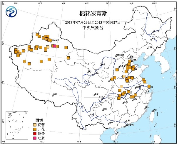 中央氣象臺消息，7月21-27日一周大部產(chǎn)區(qū)棉花處于開花期，新疆局部開始裂鈴吐絮。