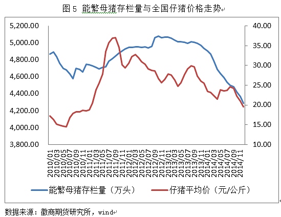 多空因素交織 玉米漲速或放緩