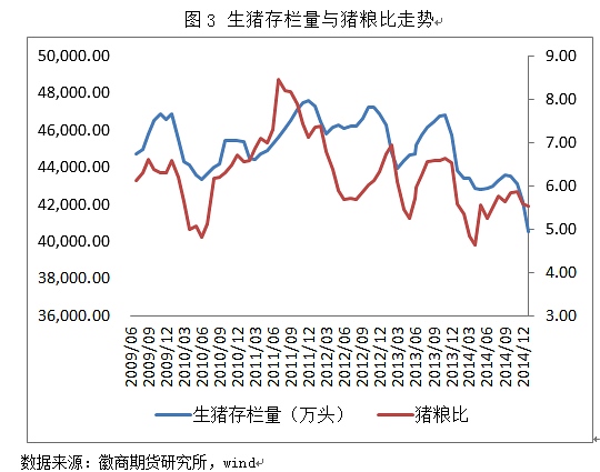 多空因素交織 玉米漲速或放緩