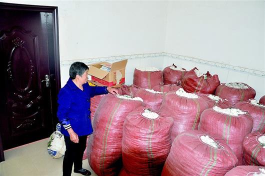 图为：仙桃市六合村曾是国家级棉花示范种植基地，这项试验如今面临停摆的命运。