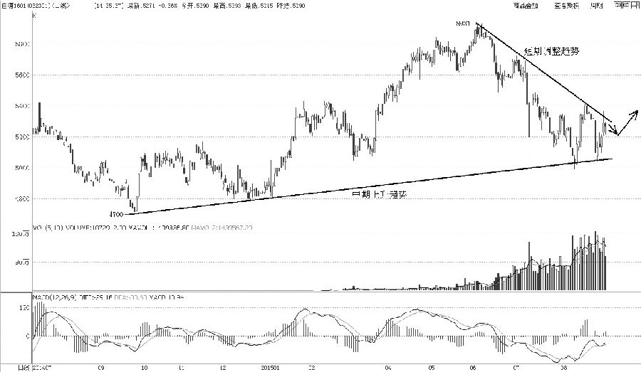 白糖1601合約自2014年9月開始啟動多頭行情，形成了有效的中期上升趨勢，并于2015年6月3日創(chuàng)下5931元/噸的最高點后開始回落，止跌于中期上升趨勢線，形成了有效的調整下跌趨勢。因此，白糖目前運行在下有重要支撐、上有短期壓力的格局中，預計后市振蕩將收斂，逐步醞釀突破方向。